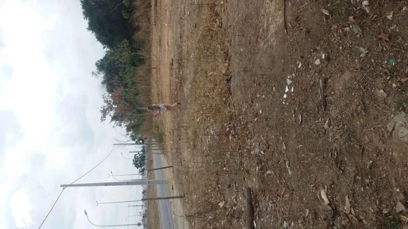 Terrenos Parque das Acácias