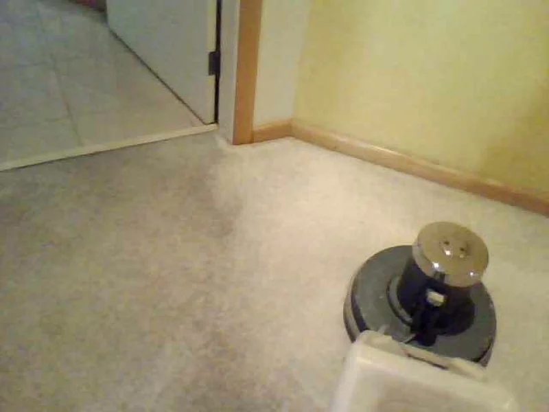 Limpeza de Carpetes e Sofás