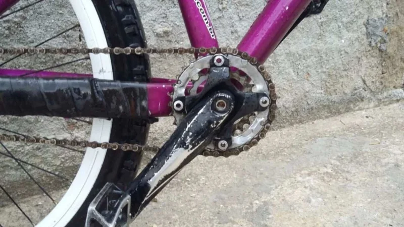 Gios Rfs Roxa