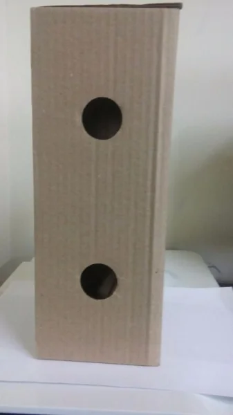 Caixa para Picolé (36/40un de Picolé)