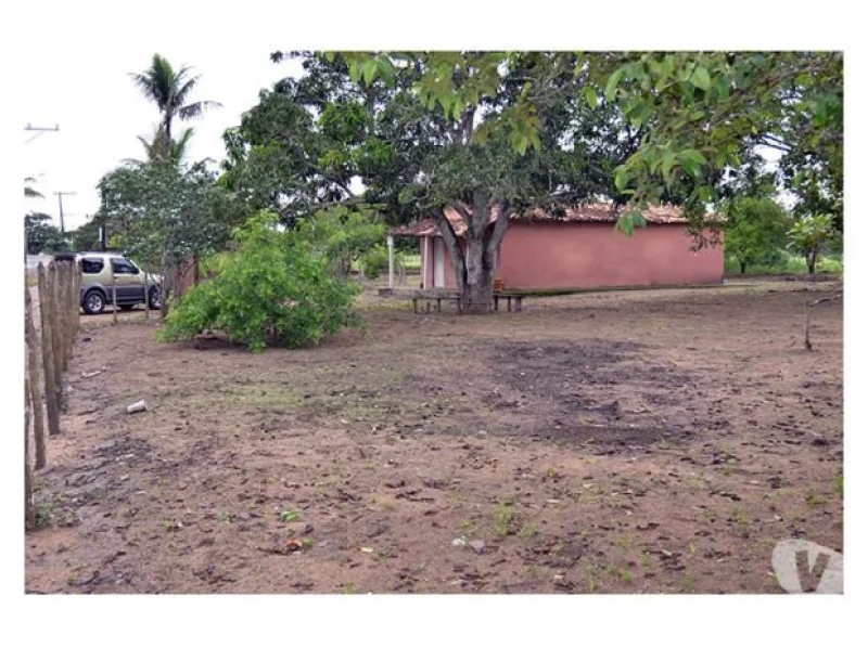 Vende-se uma Roça na Pedra Ferrada Oportunidade