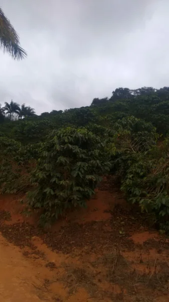 Vende -se Terreno Localizado na Pedreira- Irupi E.s