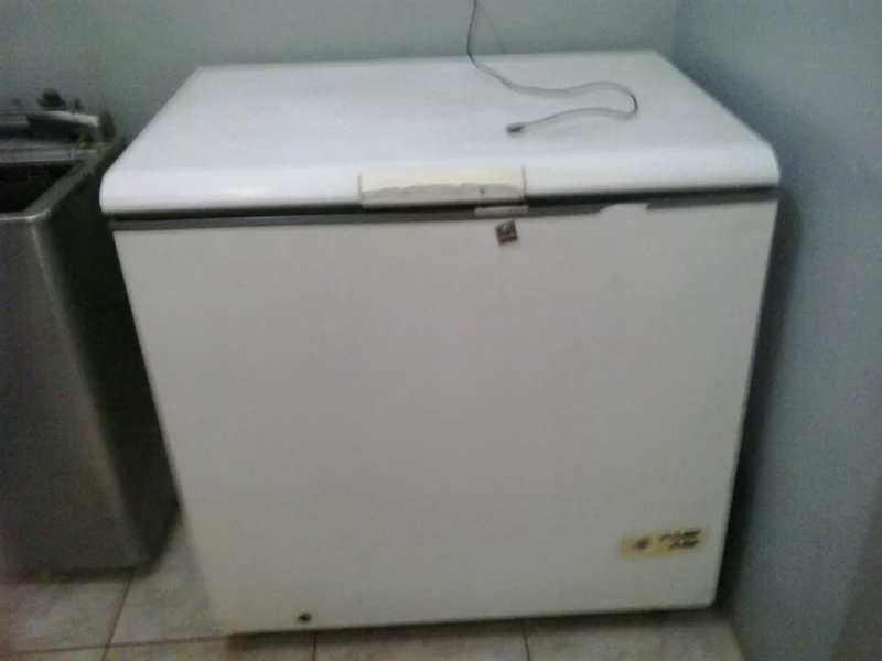 Freezer Horizontal