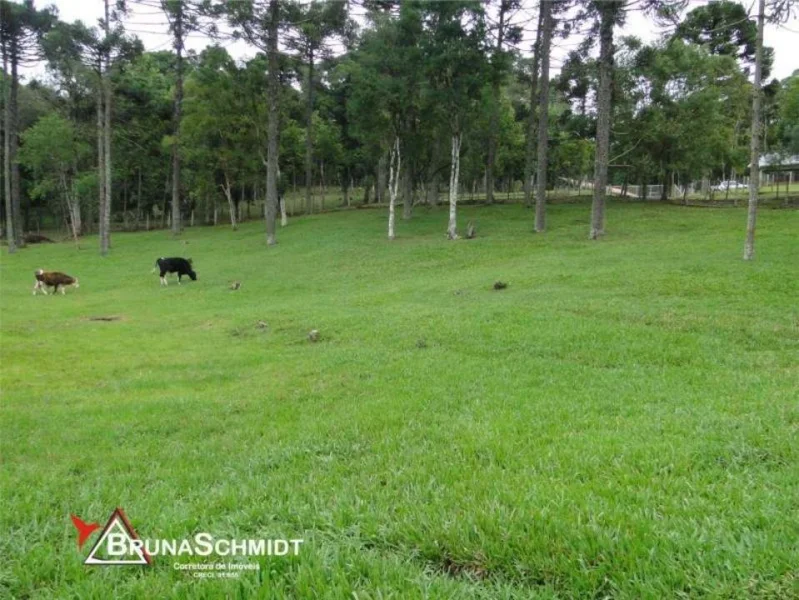 Chácara Corredeiras - Fragosos - Campo Alegre
