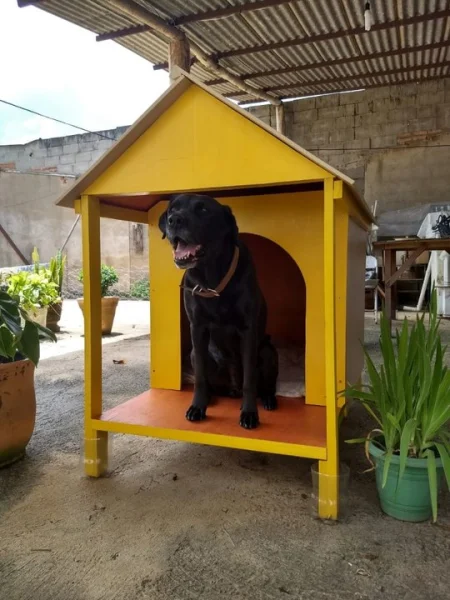 Casinhas para Seu Pet