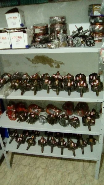 Induzidos