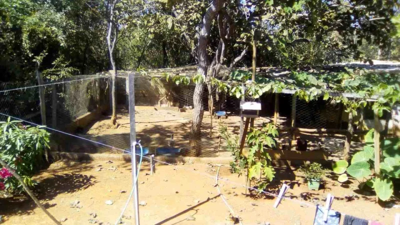 Vendo ou Troco Lote Condomínio Lago dos Cisnes