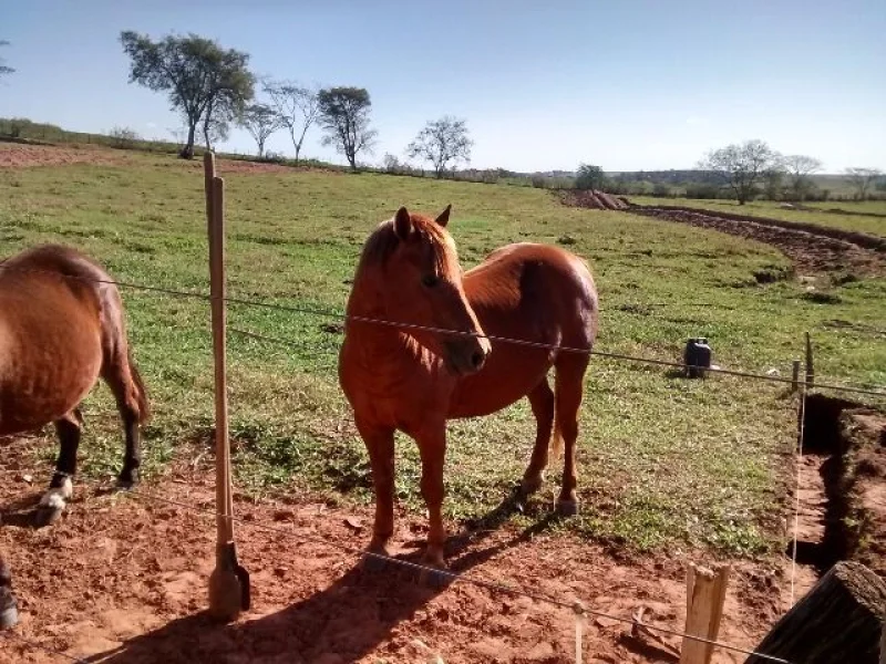 Vendo ou Alugo para Cruzar