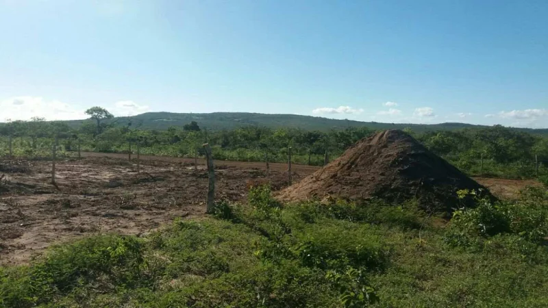 Terreno no Brás Antes do Posto Sabrina em Caetité