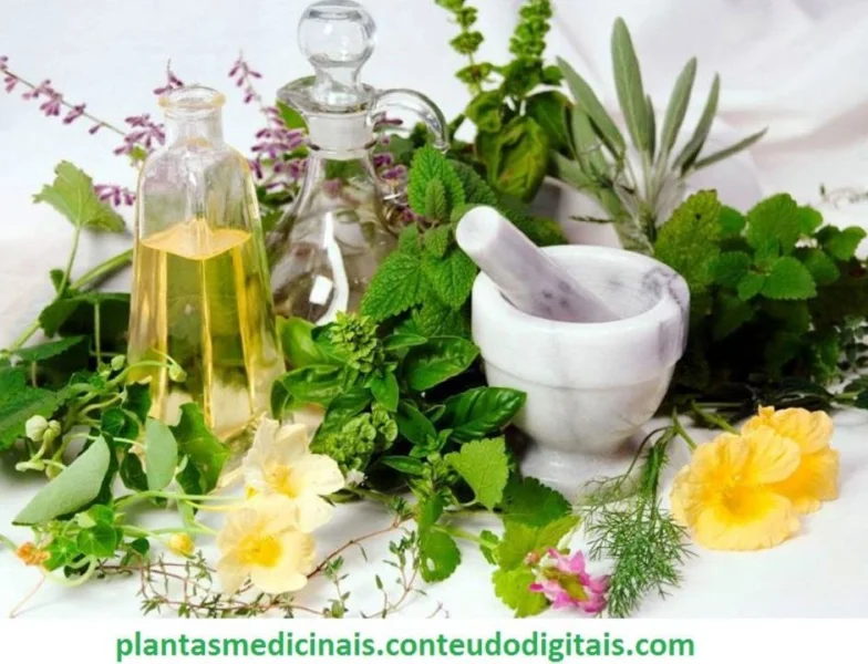 Plantas Medicinais