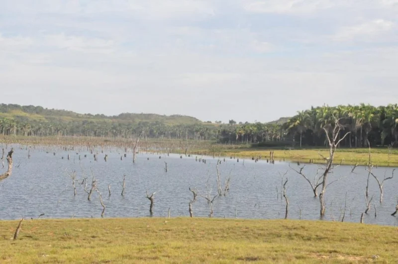 Oprotunidade Lago do Manso