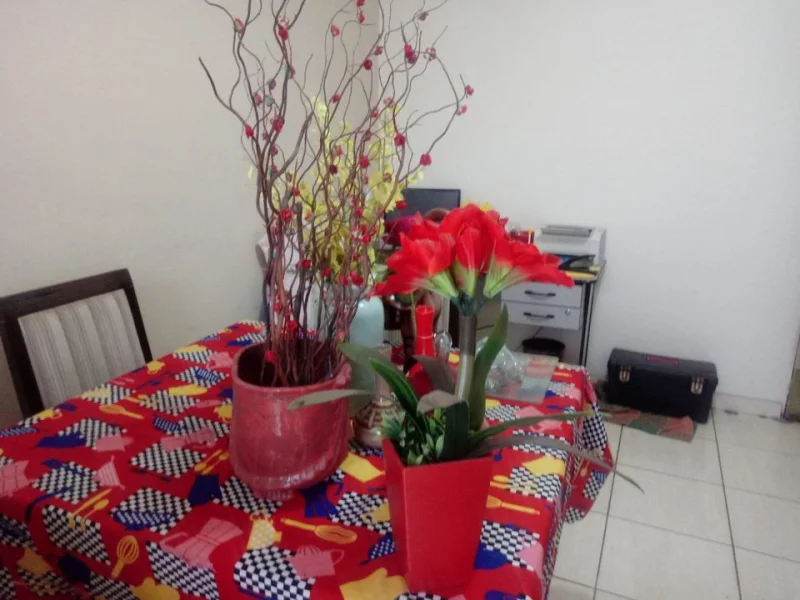 Varios Enfeites Casa