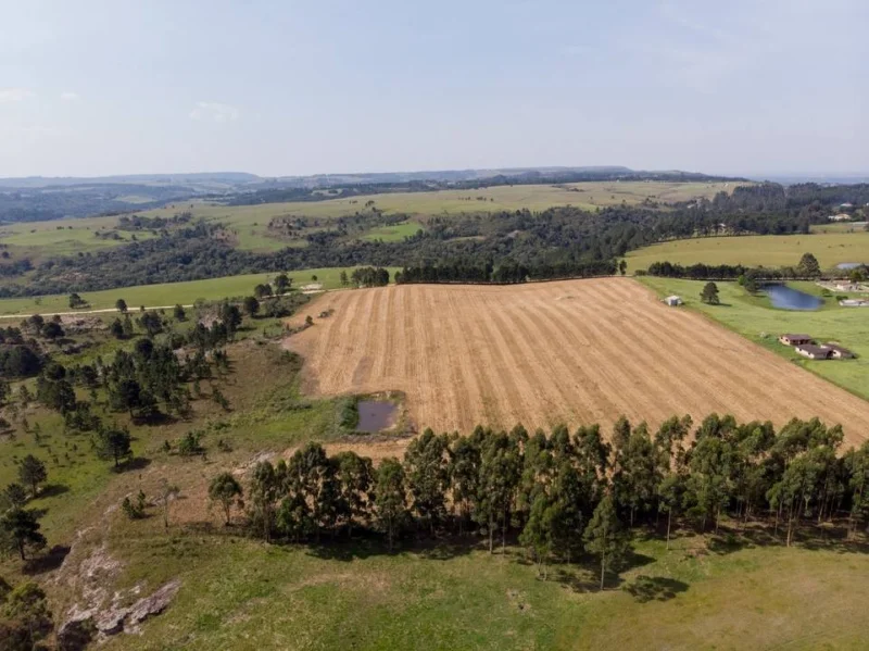 Vendo 2 áreas em São Luiz do Purunã - Balsa Nova