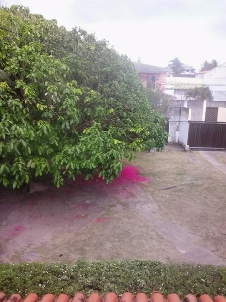 Terreno para Construtor