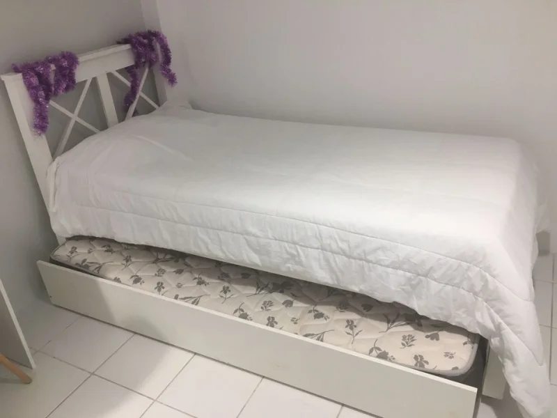 Bicama - Modelo Que Fica Lindo em Qualquer Decoração!