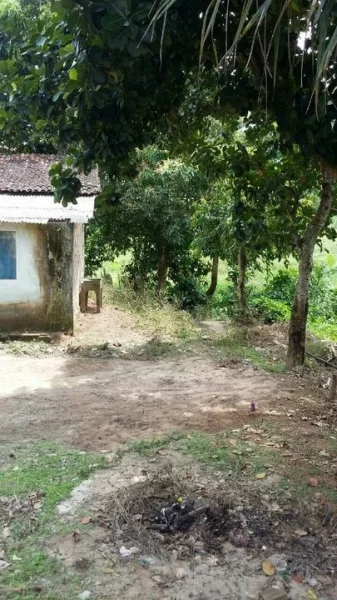 Vendo ou Troco 3 Casas e um Ponto Comercial