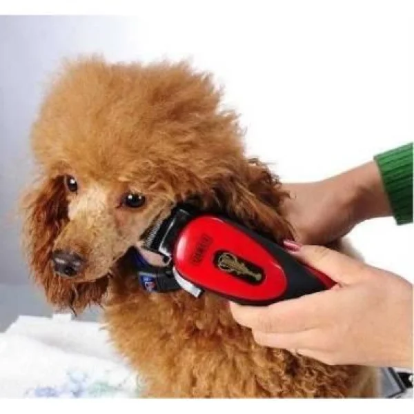 Kit Máquina de Tosa para Cães e Gatos