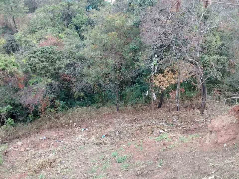 Lote 503 Metros Quadrados
