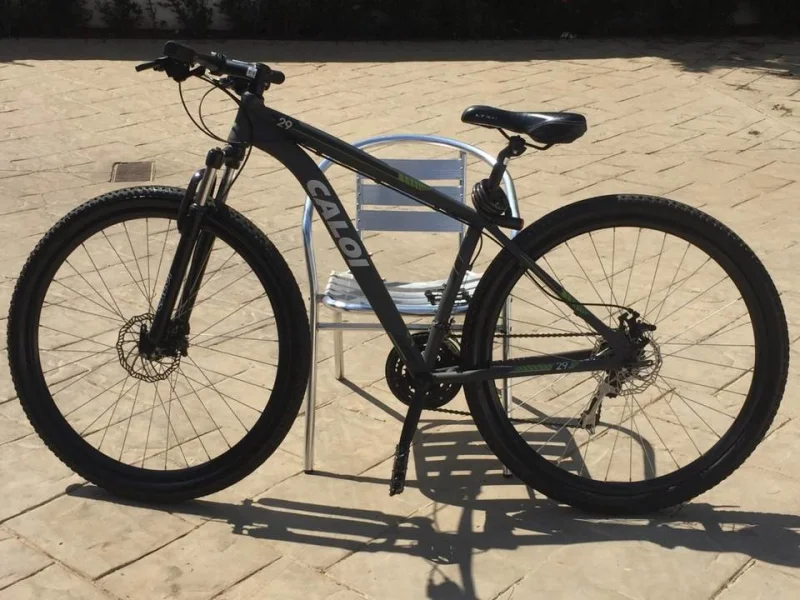 Caloi Mountain Bike Aro 29 Seminova