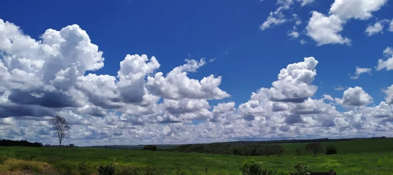 Vendo Fazenda 1546 Hectares