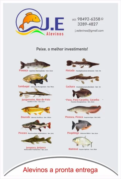 Peixes Alevinos