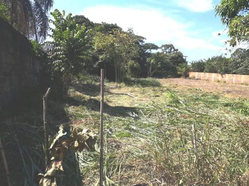 Terreno Excelente Local para Chácara