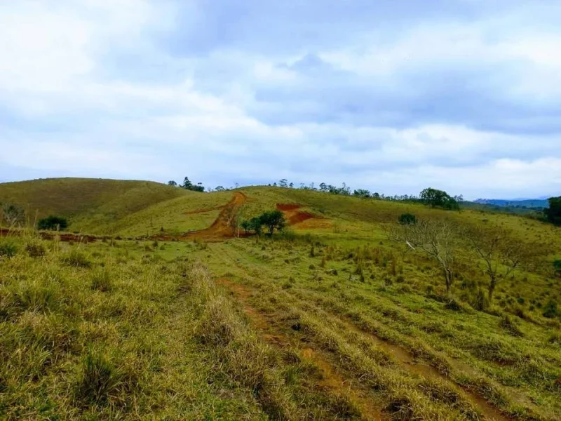 Lotes a Parti de 30.000 Mil em ótima Localidade em Santa Isabel