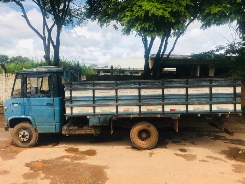 Caminhão 608