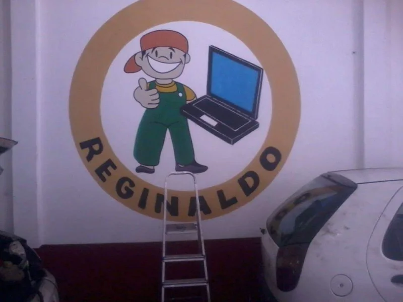 Pintor Profissional