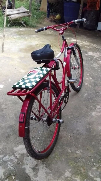 Bicicleta