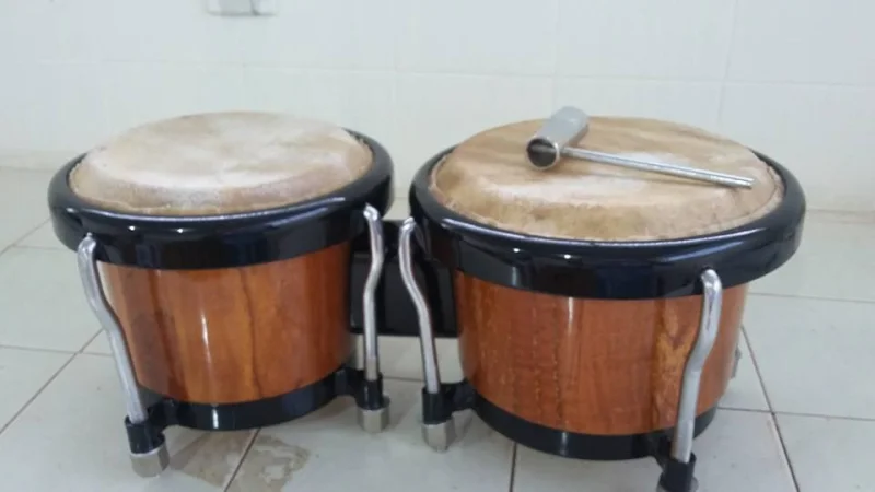 Bongo Percussão