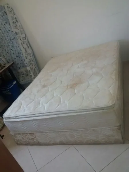 Cama Box