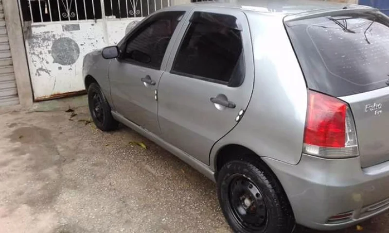 Palio 2010 Pitbull