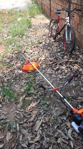 uma Rosadeira a Gasolina