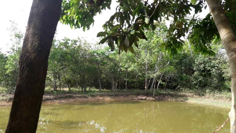 Chácara