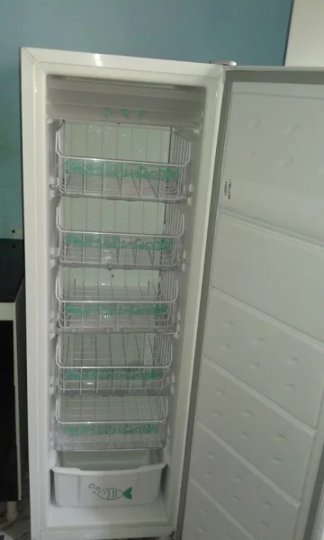 Freezer Consul