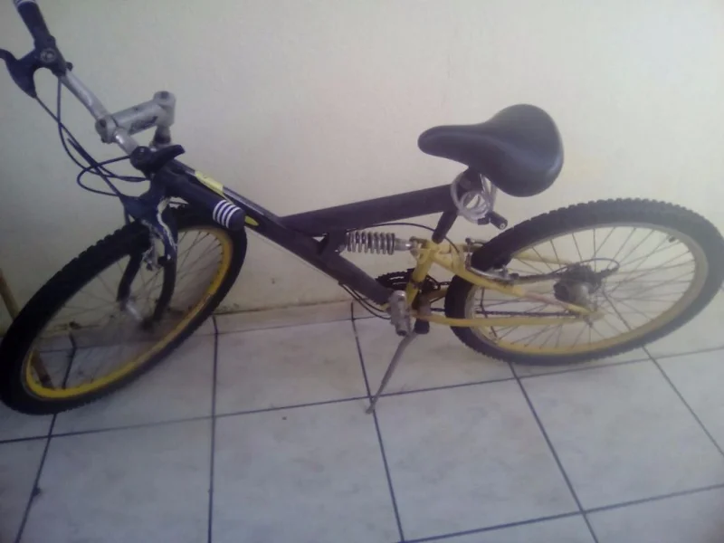 Bicicleta