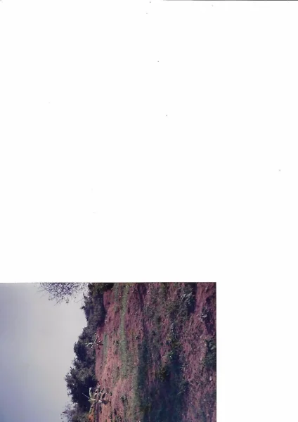Terreno em Itaville