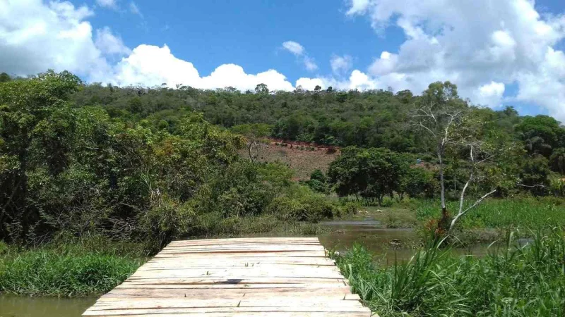 Vendo Terreno de 5,5 Alqueires com Escritura Definitiva em Itaipé