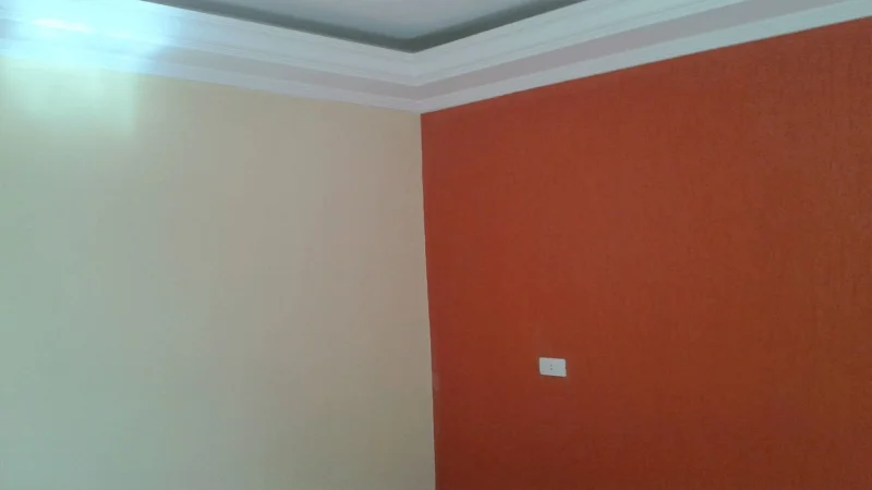 Sou Pintor Autônomo
