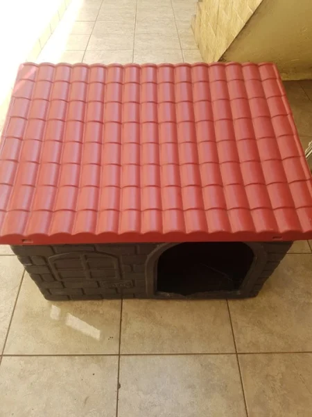 Casa M para Cachorro(a)